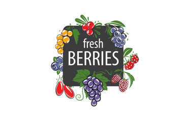 Vector logo with painted fresh berries.