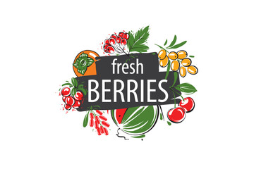 Vector logo with painted fresh berries.