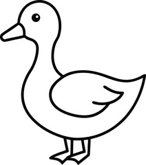 vector illustration of a duck