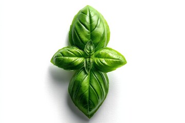 Fototapeta premium Fresh basil leaves arranged in a symmetrical pattern on a white background showcasing their vibrant green color and texture