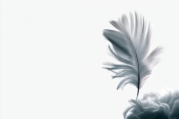 Obraz premium Delicate feather balancing on a soft, textured surface in a minimalist setting