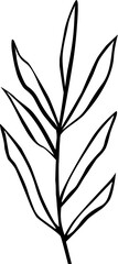 Hand drawn tropical leaf line art shape illustration