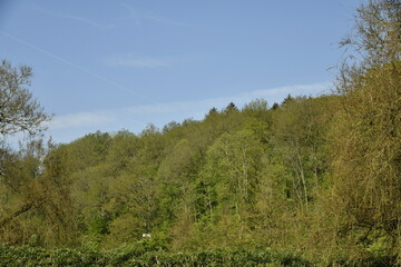 Fototapeta premium Colline boisée aux environs de Rochefort (Dinant)