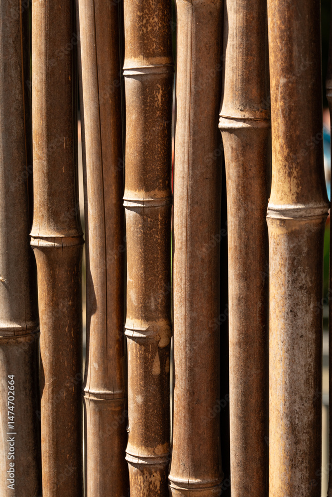 Poster high-resolution image of multiple dark brown bamboo poles, ideal for texture backgrounds or nature t