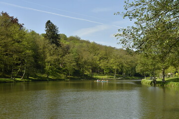L'étang des barques sous un ciel bleu au domaine provincial de Chevetogne à Ciney 