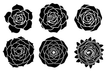 set of rose silhouette vector on tranparent background