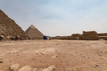 Ancient Giza pyramids, horse-drawn carriages, and a tourist bus.  Explore Egypt's history.