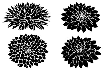 Obraz premium set of dahlia flowers with leaves. Flower silhoutte. Vector illustration