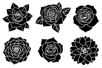 set of rose silhouette vector on tranparent background