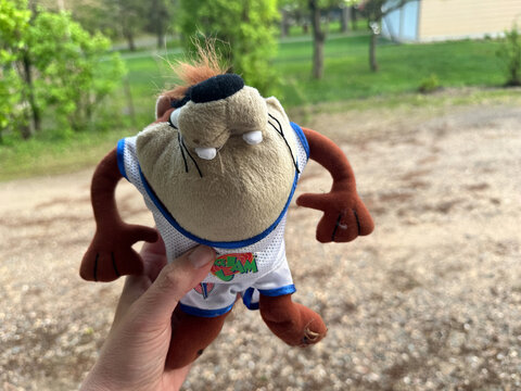 Scandia, MInnesota - May 9, 2025: Hand holds a 1996 Taz Tazmanian Devil plush toy from Space Jam movie. This was a McDonalds promotional item