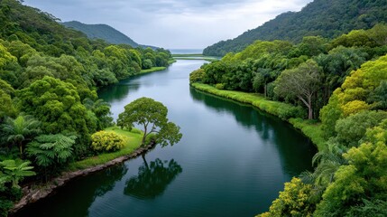Fototapeta premium Aerial View of Lush Tropical Rainforest Canopy at River Bend in Serene Landscape