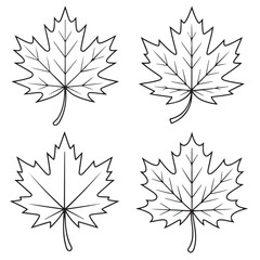 Simple Line Drawings outline of Maple Leaves, Black Silhouettes of vector set Maple Leaves