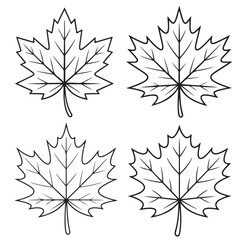 Simple Line Drawings outline of Maple Leaves, Black Silhouettes of vector set Maple Leaves
