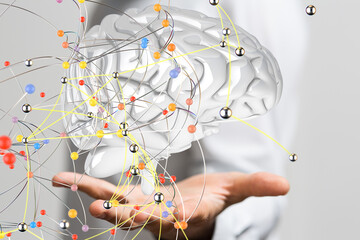 brain