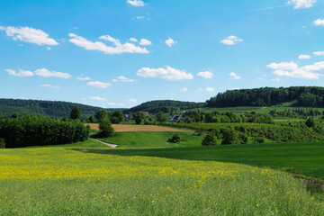 Beautiful Landscape in Hohenlohe Region near Pfedelbach and Baierbach, Baden-Weuerttemberg, Germany