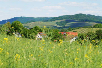 Beautiful Landscape in Hohenlohe Region near Pfedelbach and Baierbach, Baden-Weuerttemberg, Germany