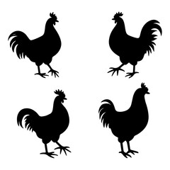 rooster and hen © Sketch