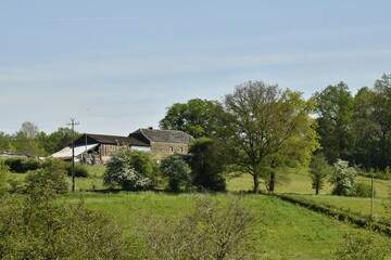 Prairies pr&egrave;s d'un hameau au village de Chevetogne (Ciney)
