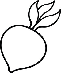 vector illustration of an radish