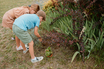 Fototapeta premium Young boy and girl gardening together, planting a flower from a pot into soil. Kids learning about nature, teamwork, and sustainability in backyard garden. Eco education and childhood connection to ea