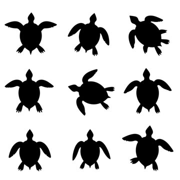 Set turtle silhouette isolated vector on white background

