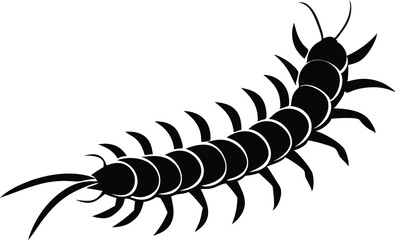 centipede vector