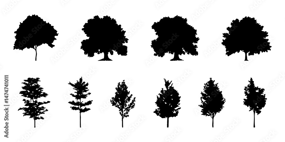 Aufkleber silhouette tree line drawing set, Side view, set of graphics trees elements outline symbol for architecture and landscape design drawing. Vector illustration in stroke fill in white. Tropical