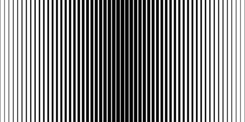 Vector line pattern. Vertical straight abstract background