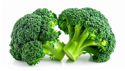 two fresh heads of produce are showcased against a stark, clean backdrop. the vegetables feature vibrant green stalks that appear freshly cut, supporting dense clusters of tiny, darker green florets
