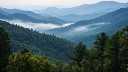 Fototapeta premium Serene mountain landscape with layered hills, mist rising in the valleys, showcasing nature's tranquility