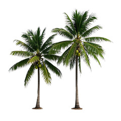  Coconut Trees, Generative AI