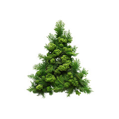 Lush Green Christmas Tree Arrangement - Isolated on Transparent Background