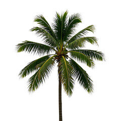 Fototapeta premium Coconut Trees, Generative AI