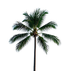  Coconut Trees, Generative AI