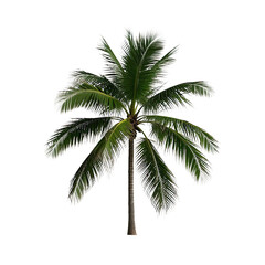  Coconut Trees, Generative AI