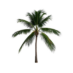 Obraz premium Coconut Trees, Generative AI