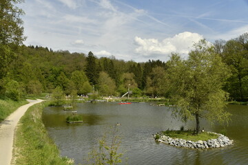 Fototapeta premium Le lac principal en pleine forêt au domaine provincial de Chevetogne à Ciney (Dinant)