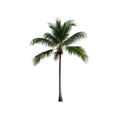  Coconut Trees, Generative AI