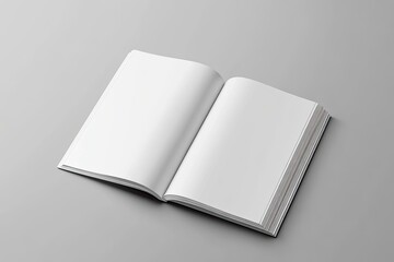 Open book, blank pages (1)