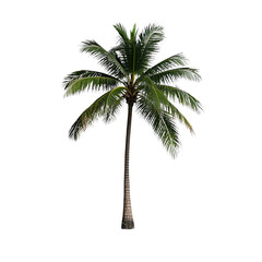 Obraz premium Coconut Trees, Generative AI