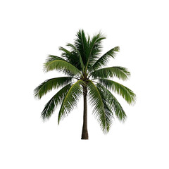 Obraz premium Coconut Trees, Generative AI