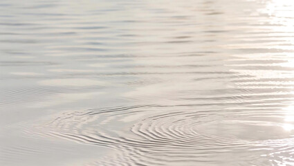 Fototapeta premium Tranquil water surface glistens softly