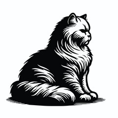 Obraz premium Cat Silhouette