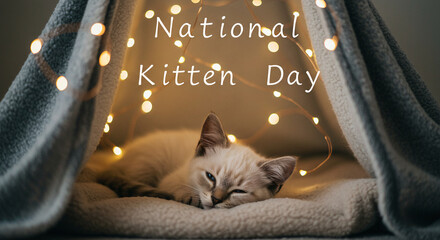 Adorable Kitten Sleeping in Blanket Tent with Fairy Lights &ndash; National Kitten Day Concept