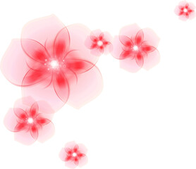 Translucent Pink Floral Background