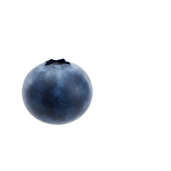 Realistic Blueberry