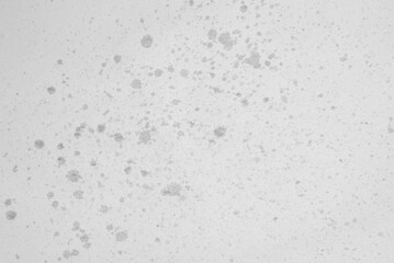  Paper texture with wet spots. Sheet of paper with surface texture