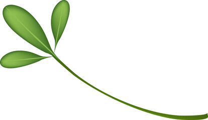 Simple Green Stem with Branching Leaves