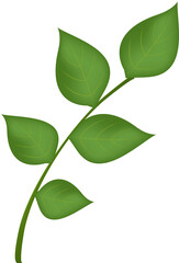 Simple Green Leafy Branch Graphic