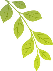 Green Leafy Branch Graphic
